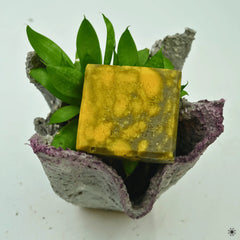 Handmade Kashmiri Grey Clay & Saffron Soap-Yendeer